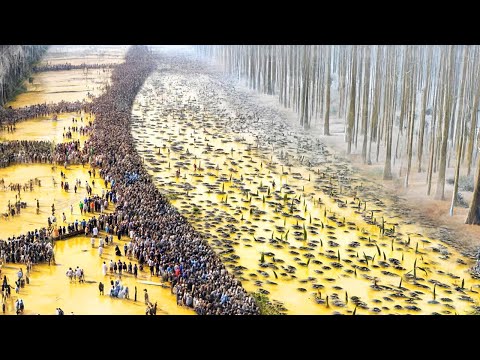 Tiraron Mil Toneladas de Cáscaras de Naranja al Bosque, 20 Años Después el Resultado fue Asombroso