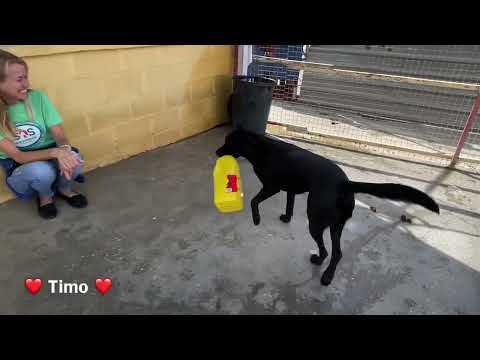 click to play the video