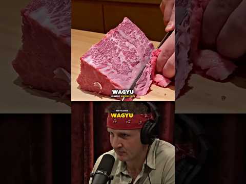 American VS Japanese Wagyu Exposed - Joe Rogan