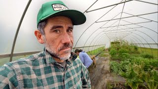 Garden Greenhouse Reset for Fall Season and What's for Dinner