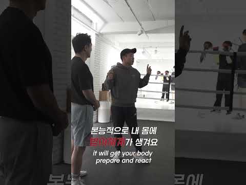 펀치가 들어올때 눈으로 인지해야하는 이유
