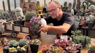 Como Evitar Fungos nas Plantas + Pedidos da Semana