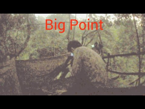 Berburu hama babi hutan besar