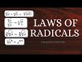 Understanding Radicals and Their Properties