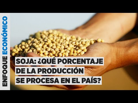 Producción de soja en Paraguay: ¿por qué el industrial elige exportarla en estado natural?