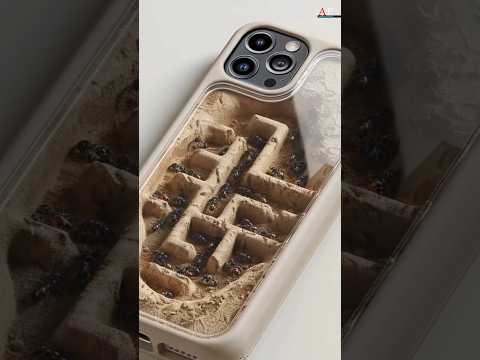Ant Colony Inside His Phone Case 🤯 #shorts
