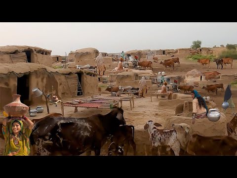 Cholistan Desert Village Cultural Life Near Rajasthan  Border