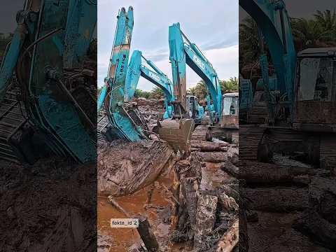 Hampir kehilangan uang milyaran akibat operator handal #kobelco #faktaunik #vidioviral #shortvideo