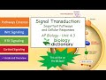 Signal Transduction Pathways and Effects
