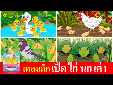 เพลงเด็ก เป็ดอาบน้ำในคลอง ไก่กุ๊กกุ๊กไก่ นกเขาบินข้ามเขา เต่าเอ๋ยเต่า