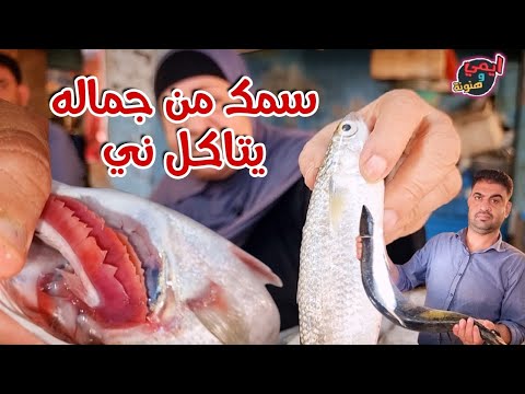 اللي يقولك اجيبو منين سمك العمبك ؟ ابعتهولو 🐟🐟