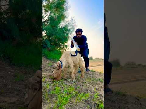 Kala nag shreef mama
