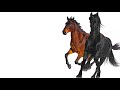 Old Town Road Song Analysis