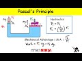 Hydraulic Systems and Mechanical Advantage