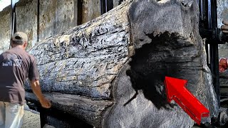 surprising discovery in hollowed wood at sawmill