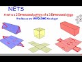Exploring 3D Shapes and Their Nets