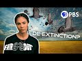 De-Extinction and Ecosystem Restoration