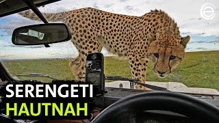 Serengeti – Das Making-of | Erlebnis Erde