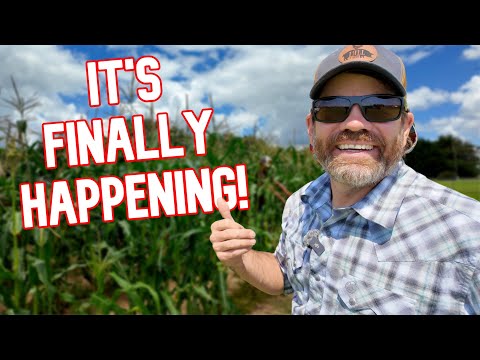 We Waited All Year for This Moment, & It’s Finally Here!