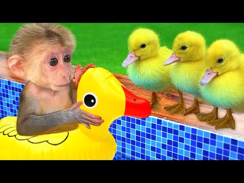 سورة البقرة (كاملة) للشيخ عبد الرحمن السديس لحفظ وتحصين المنزل وجلب البركة تلاوة رائعة Sourah Baqara