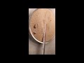 Temperature Changes in Light Experiment