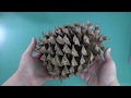 Seed Dispersal Mechanisms in Trees