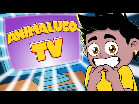 TV ANIMALUCO (ao vivo)