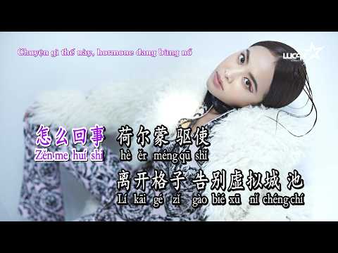 [Karaoke] EGO-HOLIC (Nghiện Yêu Bản Thân) – Thái Y Lâm