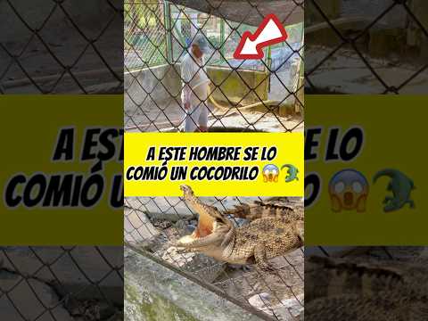 A este hombre se lo comió un cocodrilo 🐊😱interesante asombroso 😱🚨