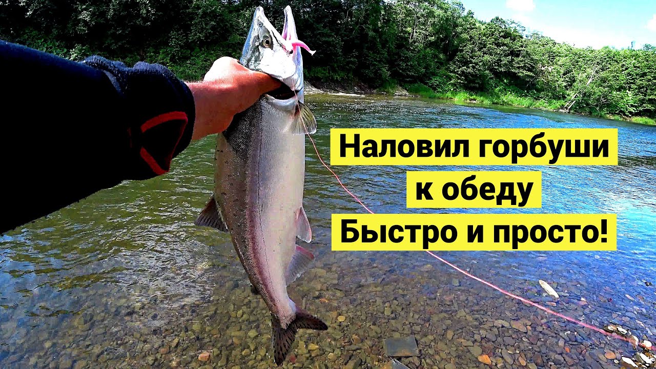 Наловил горбуши к обеду. Быстро и просто! Pink Salmon for Dinner. Catch and Cook (Eng Subs)