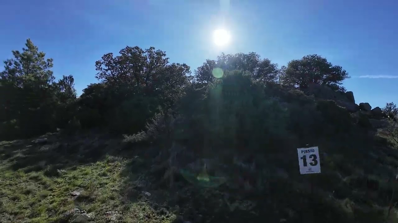 Pico del Aguila (Rodanas)