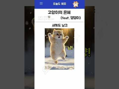 고양이의 은혜(feat. 댕댕이)