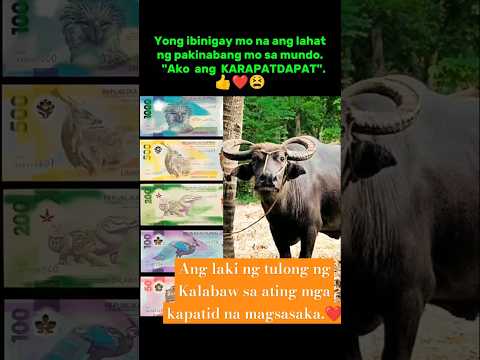 Ang Kalabaw Kasama Siya Dapat, Payag Ba Kayo. #animals #national #worthy #bills #goodvibes #short