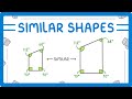 Understanding Similar Shapes and Scale Factors