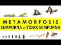 Interaksi dan Ajakan dalam Video