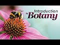 Flowering Plants and Their Evolution