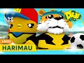 Video Content and Structure Analysis