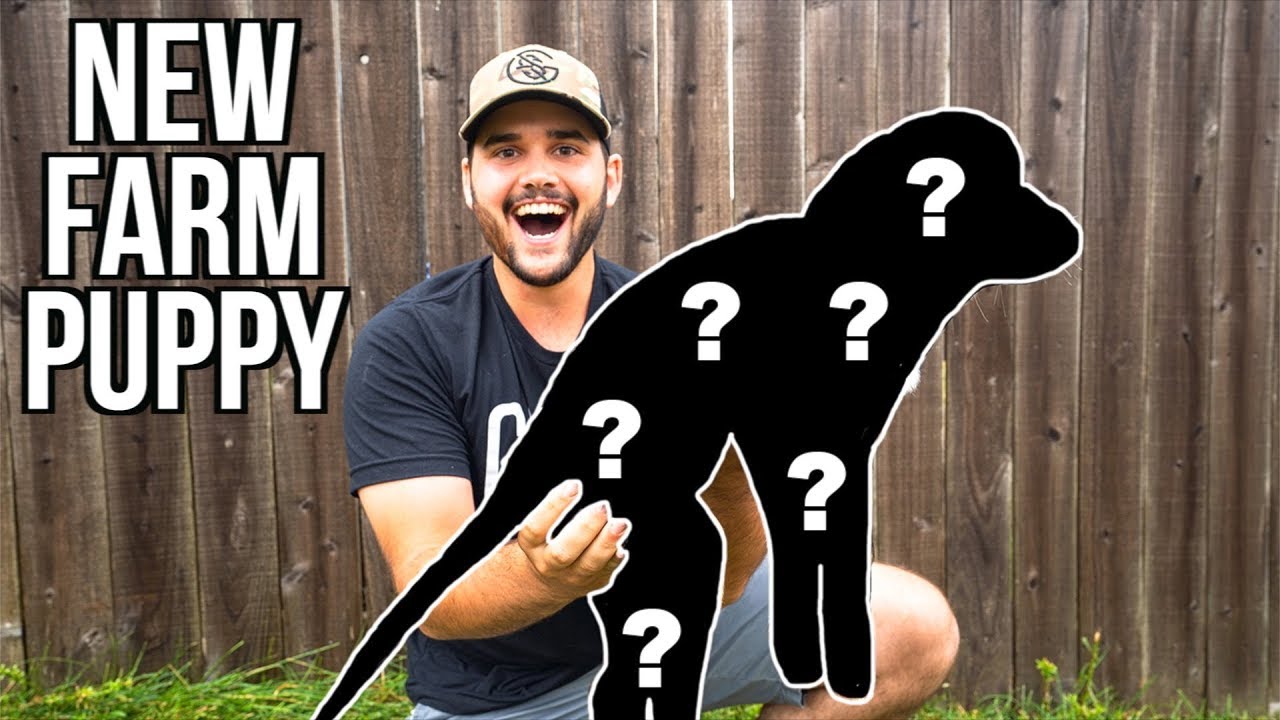 I BOUGHT A NEW PUPPY for My FARM (Help Me Name It)
