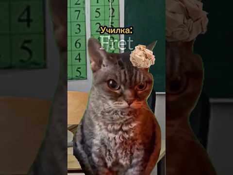 Кинул училке в лицо😱 #котики #мем #фрет Пародия на @Julia_Fun