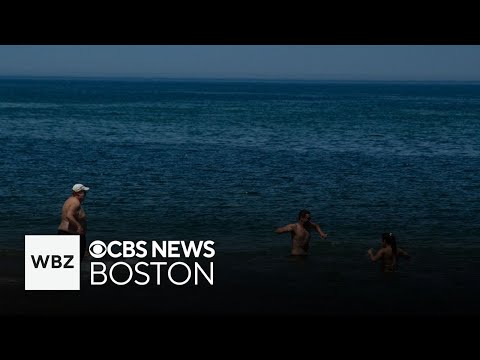 YouTube video thumbnail: The Temperature of the Ocean Has Hit a Record High. Here's What That Means for Massachusetts