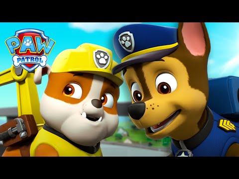 Um pequeno hamster está a causar grandes problemas na Baía da Aventura! | Patrulha Pata | PAW Patrol