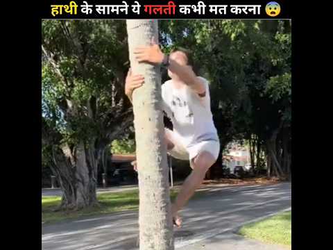 How to Survive Elephant Attack | #shorts