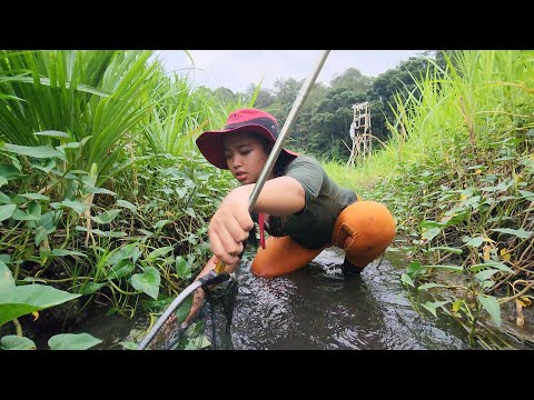 BANYAK SEKALI IKAN DI BAWAH RERUMPUTAN INI , TINGGAL SEROK LANGSUG DAPAT