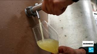 YouTube video thumbnail: Record Heat and Drought Make This Year's Champagne Stronger