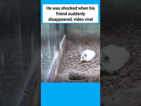 He was shocked when his friend suddenly disappeared, video viral #shorts