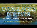 Everglades Ecosystem Understanding