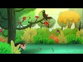 Animal Roles and Food Chains