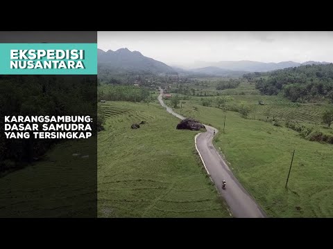 Karang sambung