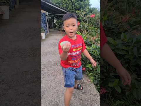 Bong bóng #shost
