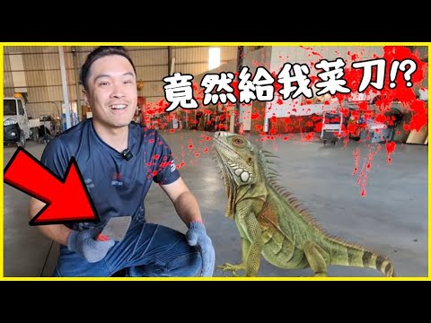 阿姨嚇到跑掉，阿你拿菜刀給我要幹嘛啦 ! 今年綠鬣蜥已捕捉超過3.6萬隻 ! 一隻250元，J爸加碼一隻給300 !! 現在連綠鬣蜥都可以詐騙 !? 加入J爸團隊看這裡 ! - YouTube
